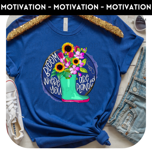 Bloom where you are planted